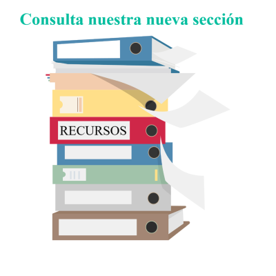 Consulta nueva sección